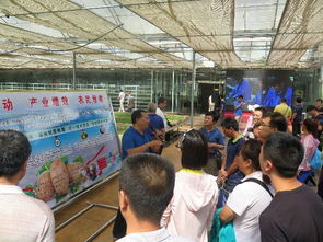 技術推廣服務中心 驅動創新落地的核心引擎